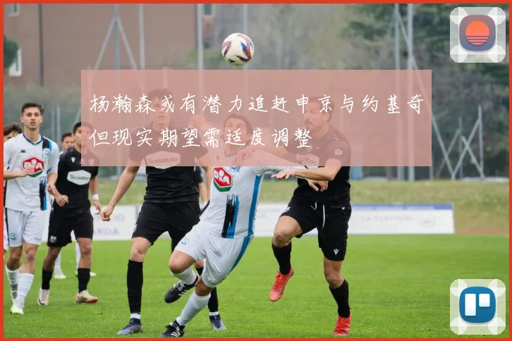 杨瀚森或有潜力追赶申京与约基奇但现实期望需适度调整